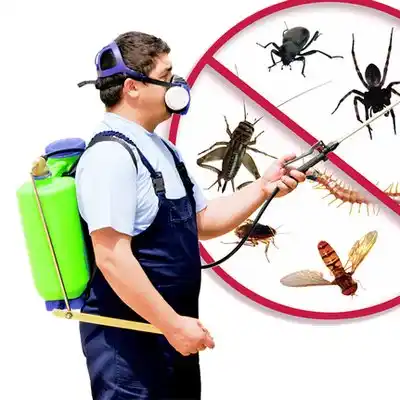 pest control De Witt